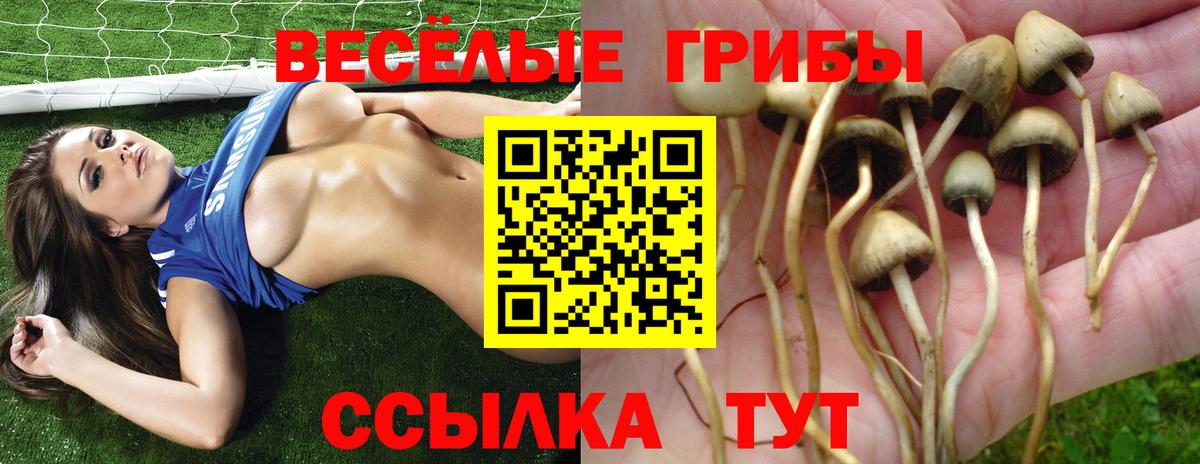 Псилоцибиновые грибы Psilocybine cubensis  Вход с VPN  наркотики  Кирово-Чепецк 