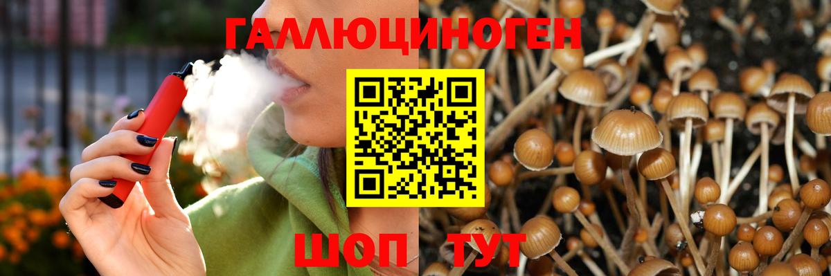 Псилоцибиновые грибы Magic Shrooms Кирово-Чепецк